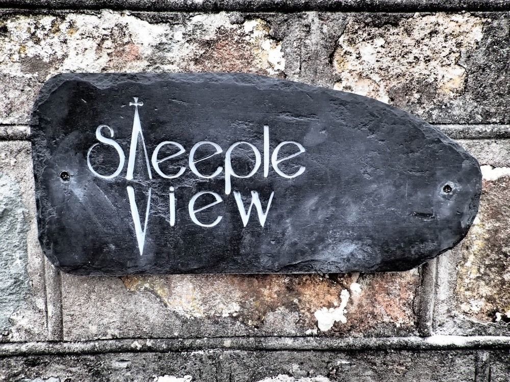 Bed and Breakfast Steeple View à Newport  Extérieur photo